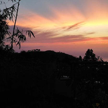 Puntagorda La Casa De La Cartita 빌라 외부 사진
