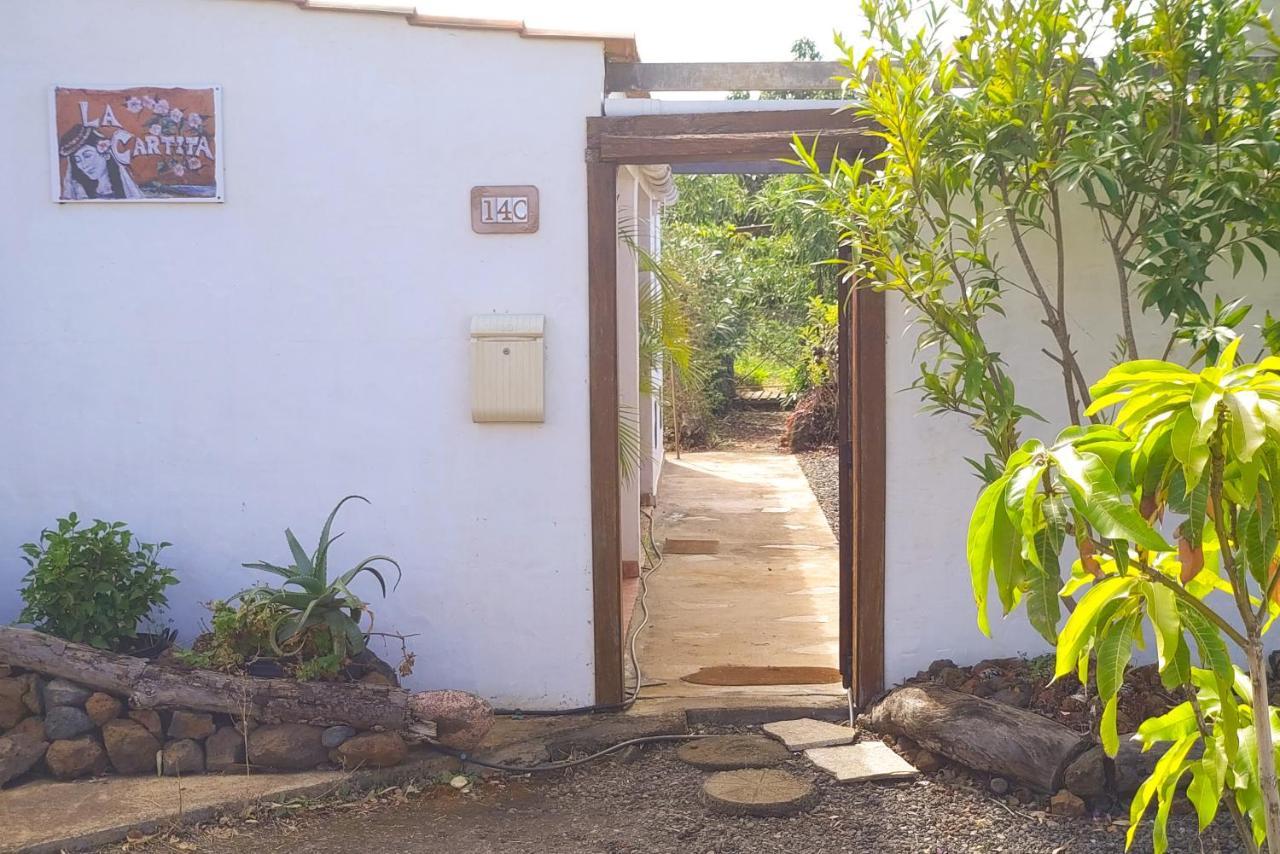 Puntagorda La Casa De La Cartita 빌라 외부 사진