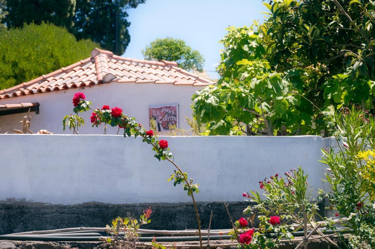 Puntagorda La Casa De La Cartita 빌라 외부 사진
