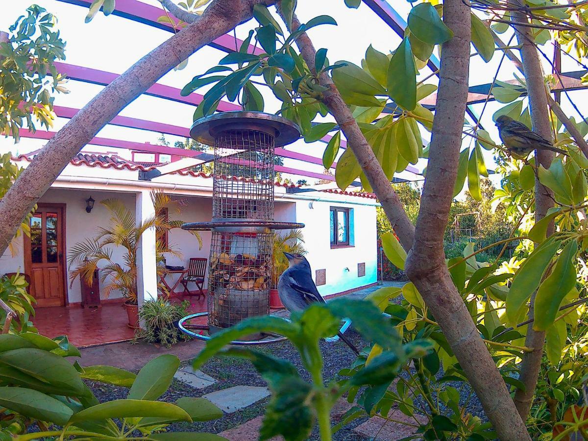 Puntagorda La Casa De La Cartita 빌라 외부 사진